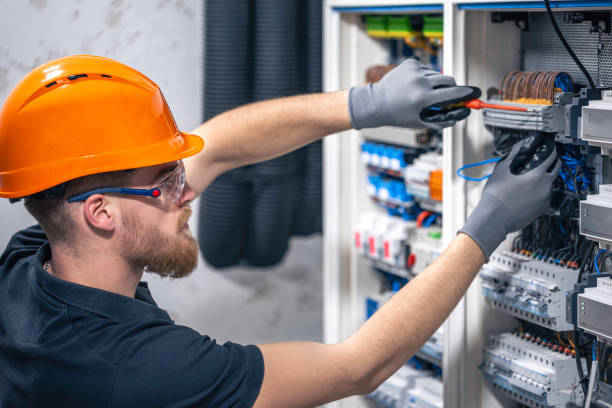 Best Ceiling Fan Installation Electrician  in Homer, GA